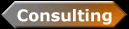 Professional Consulting Services