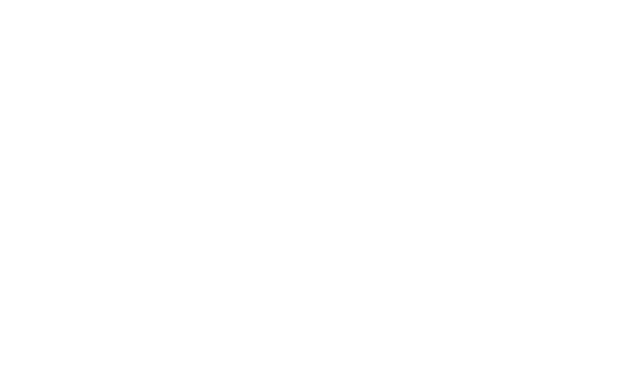 CHUCK BALDWIN
PAT BUCHANAN
RON PAUL
SHERIFF MACK
STEWART RHODES ELIAS ALIAS
DAVID R. GILLIE
G. EDWARD GRIFFIN
ROSIE HAAS
DAN HAPPEL
ERICH PRATT
WALTER REDDY
JACK ROONEY
EDWIN VIEIRA, JR.